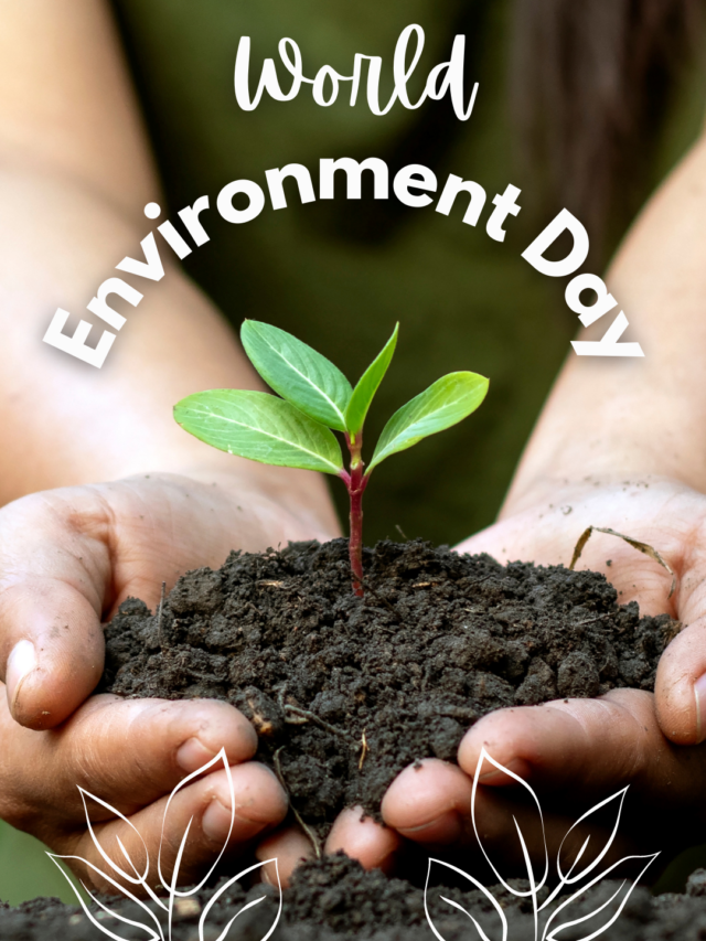 World Environment Day