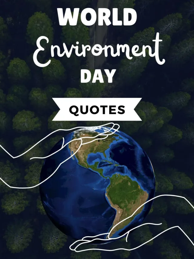 World environment day