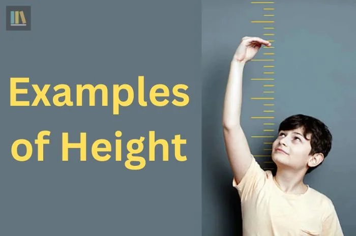 Hight or Height