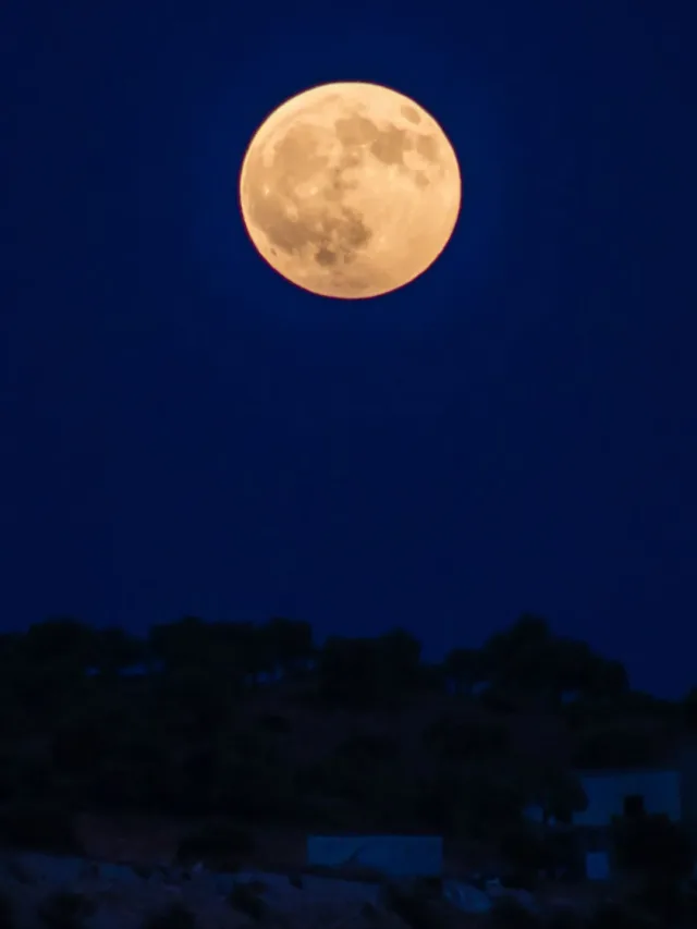 Is your zodiac sign affected by full moon madness?