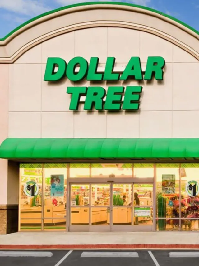 9 Things to Buy at Dollar Tree for Under $10!